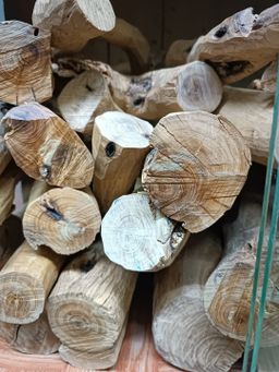 Shwe Nathar_သြစတေးလျ တောင်နံကတိုး