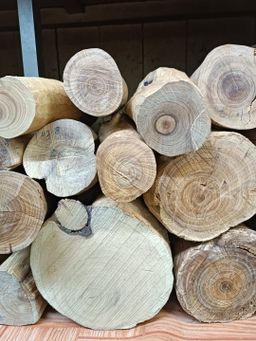 Shwe Nathar_သြစတေးလျ တောင်နံကတိုး