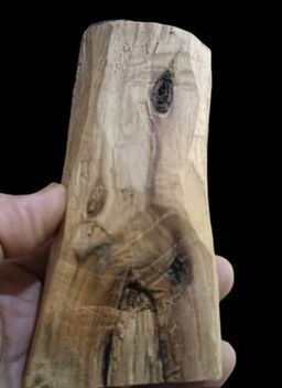 Shwe Nathar_သြစတေးလျ တောင်နံကတိုး