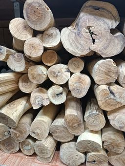 Shwe Nathar_သြစတေးလျ တောင်နံကတိုး