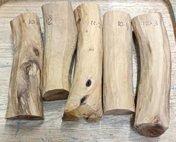 Shwe Nathar_သြစတေးလျ တောင်နံကတိုး