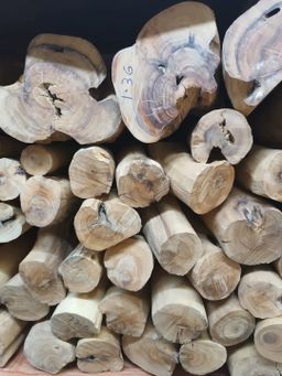 Shwe Nathar_သြစတေးလျ တောင်နံကတိုး