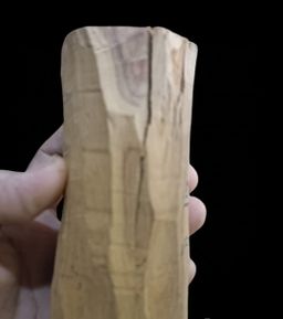 Shwe Nathar_သြစတေးလျ တောင်နံကတိုး