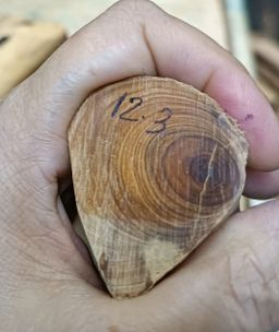 Shwe Nathar_သြစတေးလျ တောင်နံကတိုး