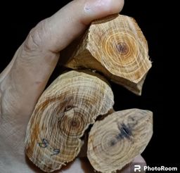 Shwe Nathar_သြစတေးလျ တောင်နံကတိုး