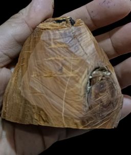 Shwe Nathar_သြစတေးလျ တောင်နံကတိုး