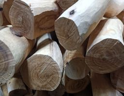 Shwe Nathar_သြစတေးလျ တောင်နံကတိုး