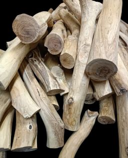 Shwe Nathar_သြစတေးလျ တောင်နံကတိုး