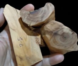 Shwe Nathar_သြစတေးလျ တောင်နံကတိုး