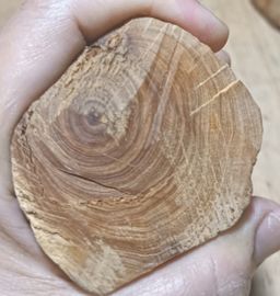 Shwe Nathar_သြစတေးလျ တောင်နံကတိုး