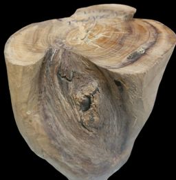 Shwe Nathar_သြစတေးလျ တောင်နံကတိုး