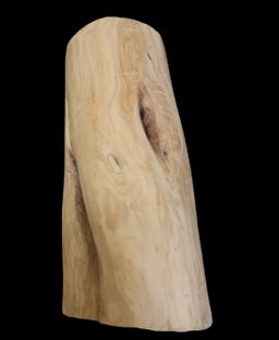 Shwe Nathar_သြစတေးလျ တောင်နံကတိုး