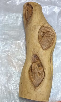 Shwe Nathar_သြစတေးလျ တောင်နံကတိုး