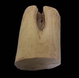 Shwe Nathar_သြစတေးလျ တောင်နံကတိုး