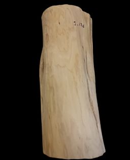 Shwe Nathar_သြစတေးလျ တောင်နံကတိုး