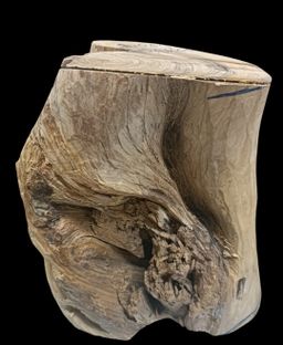 Shwe Nathar_သြစတေးလျ တောင်နံကတိုး