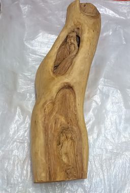 Shwe Nathar_သြစတေးလျ တောင်နံကတိုး