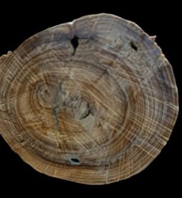 Shwe Nathar_သြစတေးလျ တောင်နံကတိုး