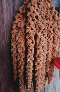 ခေါနုစုမ်_ချင်းရိုးရာ ဆပ်နီခေါင်ရည်