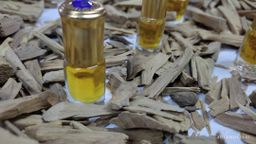 Shwe Nathar_နံ့သာဆီ Collection 