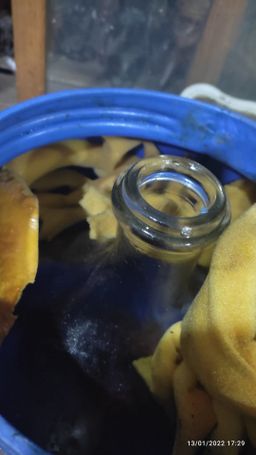 Shwe Nathar_နံ့သာဆီ Collection 