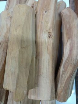 Shwe Nathar_အိန္ဒိယ နံ့သာဖြူ