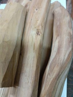 Shwe Nathar_အိန္ဒိယ နံ့သာဖြူ