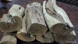 Shwe Nathar_သြစတေးလျ တောင်နံကတိုး