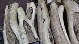 Shwe Nathar_သြစတေးလျ တောင်နံကတိုး