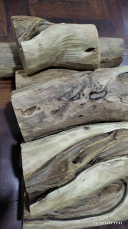 Shwe Nathar_သြစတေးလျ တောင်နံကတိုး