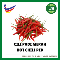 CILI API MERAH 红米椒
