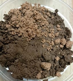 Shwe Nathar_နံ့သာအနှစ် Collection  