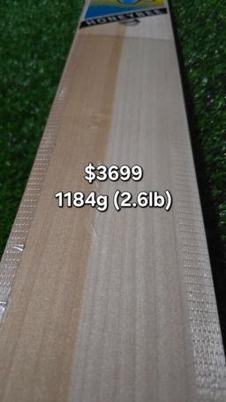 Adult English Willow Bats