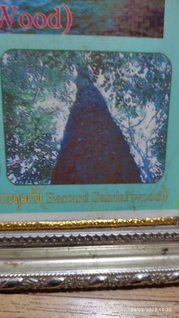 Shwe Nathar_နံ့သာကိုးပါး Collection 