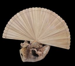 Shwe Nathar_နံ့သာဖြူ ယပ်တောင်