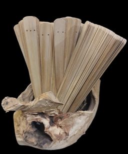 Shwe Nathar_နံ့သာဖြူ ယပ်တောင်