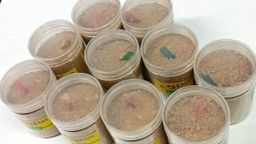 Shwe Nathar_နံ့သာ ပေါင်ဒါမှုန့် Collection #