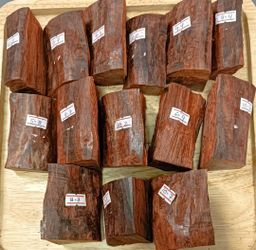 Shwe Nathar_အိန္ဒိယ နံ့သာနီ 