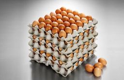 Household Hamper package 