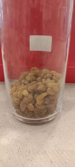 DF25 Raisins Chinese 1g