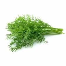 Dill الشبت