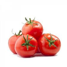 Protected tomato طماطم محمي