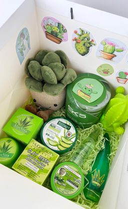 بكج الصبار اللطيف