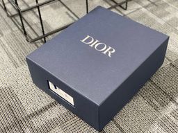 Dior Sneaker