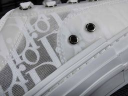 Dior Sneaker