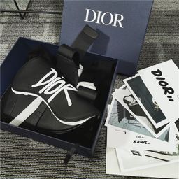 Dior Saddle Bag