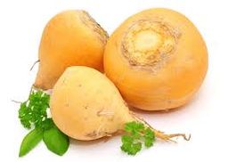 Beetroot yellow  الشمندر الأصفر (كل نص كيلو)