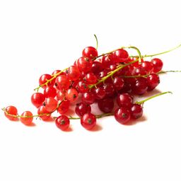 Red currant الكشكش الأحمر  ( كل علبة)