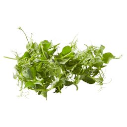 Affilacress (كل نص كيلو)