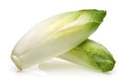 Endive white الهندباء البيضاء(كل نص كيلو )
